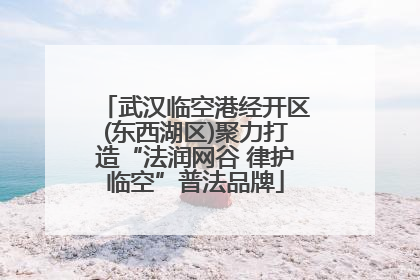 武汉临空港经开区(东西湖区)聚力打造“法润网谷 律护临空”普法品牌