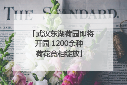 武汉东湖荷园即将开园 1200余种荷花竞相绽放