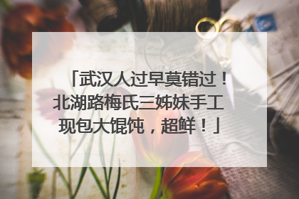 武汉人过早莫错过！北湖路梅氏三姊妹手工现包大馄饨，超鲜！