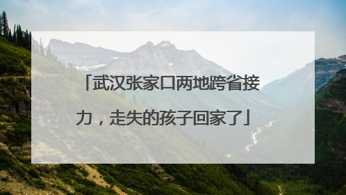 武汉张家口两地跨省接力，走失的孩子回家了