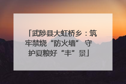 武陟县大虹桥乡：筑牢禁烧“防火墙” 守护夏粮好“丰”景
