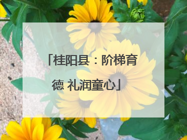 桂阳县：阶梯育德 礼润童心