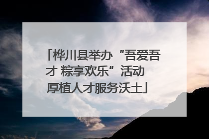 桦川县举办“吾爱吾才 粽享欢乐”活动 厚植人才服务沃土