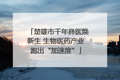 楚雄市千年彝医焕新生 生物医药产业跑出“加速度”