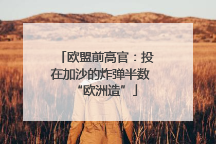 欧盟前高官：投在加沙的炸弹半数“欧洲造”