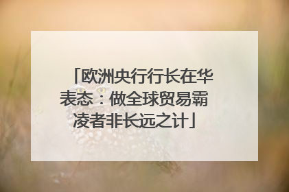 欧洲央行行长在华表态：做全球贸易霸凌者非长远之计