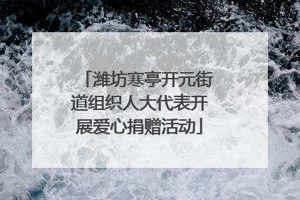 潍坊寒亭开元街道组织人大代表开展爱心捐赠活动
