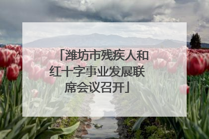 潍坊市残疾人和红十字事业发展联席会议召开