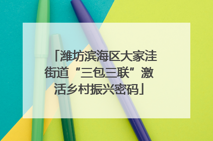 潍坊滨海区大家洼街道“三包三联”激活乡村振兴密码