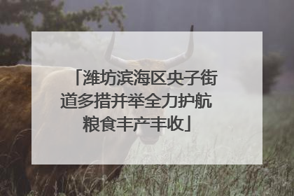 潍坊滨海区央子街道多措并举全力护航粮食丰产丰收