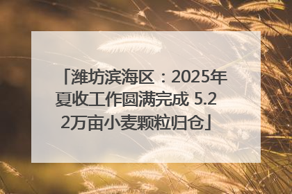 潍坊滨海区：2025年夏收工作圆满完成 5.22万亩小麦颗粒归仓