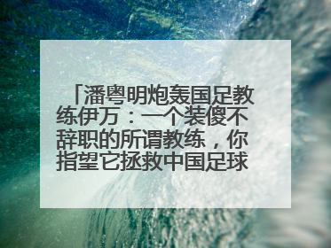 潘粤明炮轰国足教练伊万：一个装傻不辞职的所谓教练，你指望它拯救中国足球！此前曾多次发文评价国足