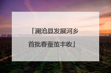澜沧县发展河乡首批春蚕茧丰收