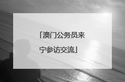 澳门公务员来宁参访交流