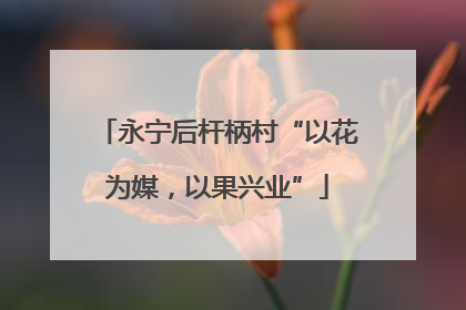 永宁后杆柄村“以花为媒，以果兴业”