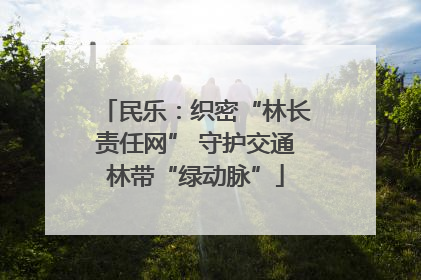 民乐：织密“林长责任网” 守护交通林带“绿动脉”