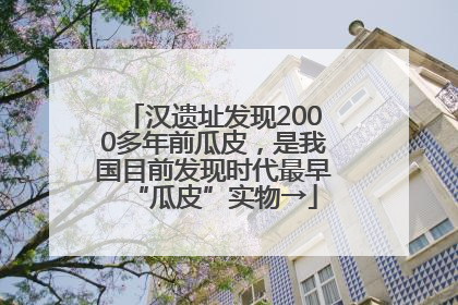 汉遗址发现2000多年前瓜皮，是我国目前发现时代最早“瓜皮”实物→