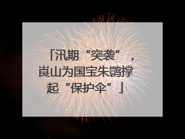 汛期“突袭”，崀山为国宝朱鹮撑起“保护伞”