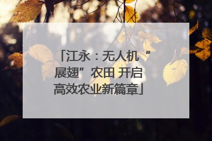 江永：无人机“展翅”农田 开启高效农业新篇章