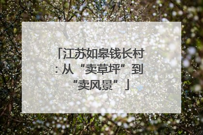 江苏如皋钱长村：从“卖草坪”到“卖风景”