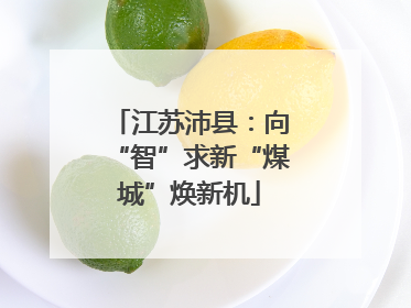 江苏沛县：向“智”求新“煤城”焕新机