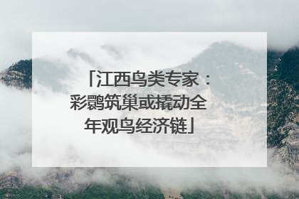 江西鸟类专家：彩鹮筑巢或撬动全年观鸟经济链