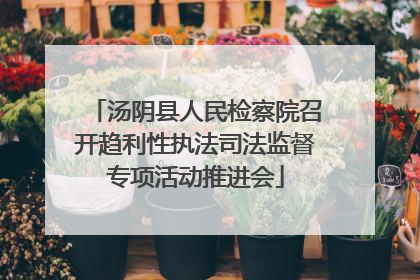 汤阴县人民检察院召开趋利性执法司法监督专项活动推进会