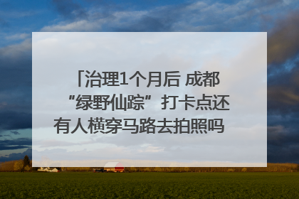 治理1个月后 成都“绿野仙踪”打卡点还有人横穿马路去拍照吗？｜民情瞭望