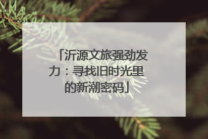 沂源文旅强劲发力：寻找旧时光里的新潮密码