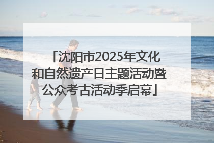沈阳市2025年文化和自然遗产日主题活动暨公众考古活动季启幕