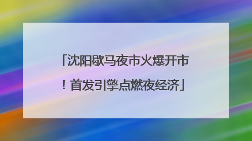 沈阳歇马夜市火爆开市！首发引擎点燃夜经济