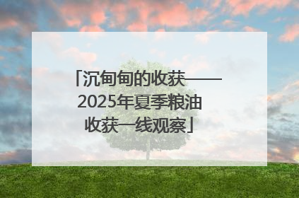 沉甸甸的收获——2025年夏季粮油收获一线观察