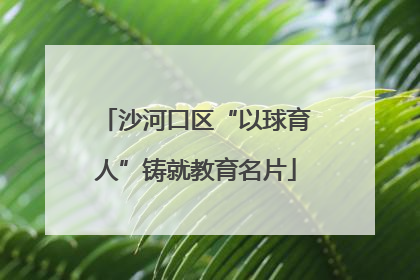 沙河口区“以球育人”铸就教育名片