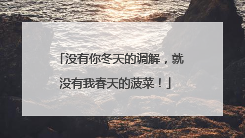 没有你冬天的调解，就没有我春天的菠菜！
