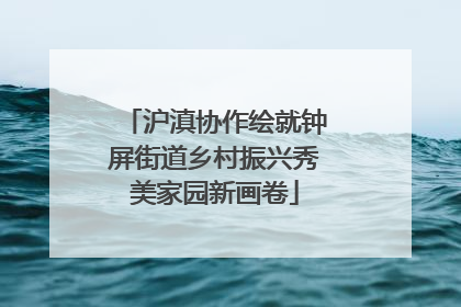 沪滇协作绘就钟屏街道乡村振兴秀美家园新画卷