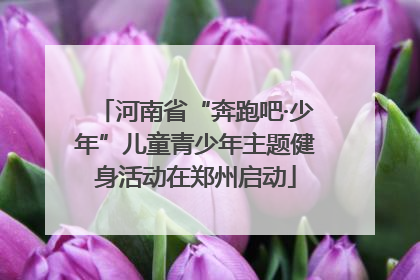 河南省“奔跑吧·少年”儿童青少年主题健身活动在郑州启动
