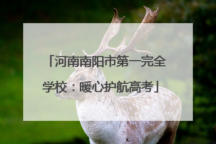 河南南阳市第一完全学校：暖心护航高考
