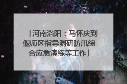 河南洛阳：马怀庆到偃师区指导调研防汛综合应急演练等工作
