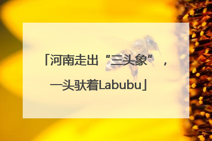 河南走出“三头象”，一头驮着Labubu