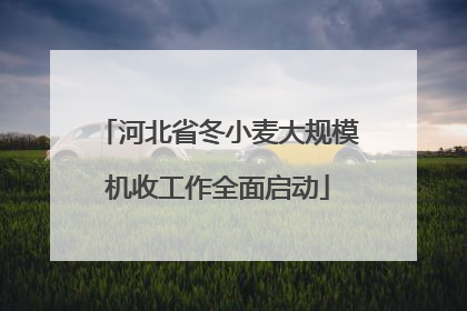 河北省冬小麦大规模机收工作全面启动