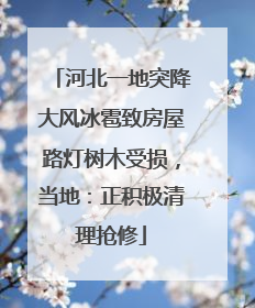 河北一地突降大风冰雹致房屋路灯树木受损，当地：正积极清理抢修