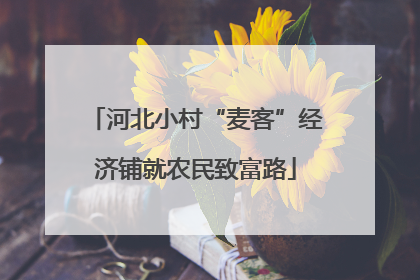 河北小村“麦客”经济铺就农民致富路
