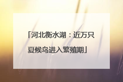 河北衡水湖：近万只夏候鸟进入繁殖期