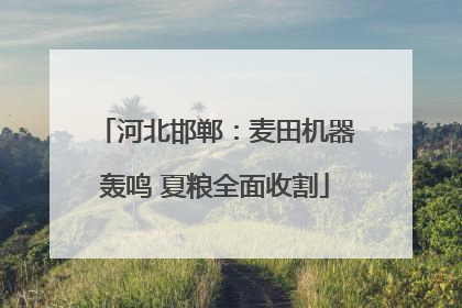 河北邯郸：麦田机器轰鸣 夏粮全面收割