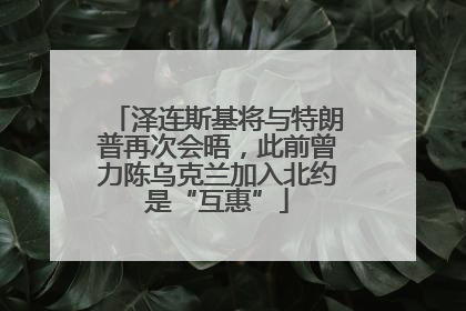 泽连斯基将与特朗普再次会晤，此前曾力陈乌克兰加入北约是“互惠”