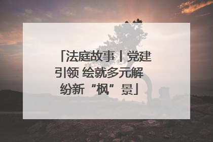 法庭故事丨党建引领 绘就多元解纷新“枫”景
