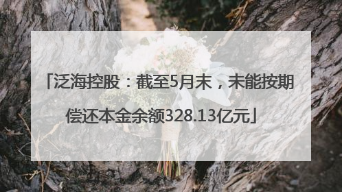 泛海控股：截至5月末，未能按期偿还本金余额328.13亿元