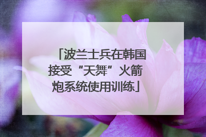 波兰士兵在韩国接受“天舞”火箭炮系统使用训练