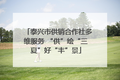 泰兴市供销合作社多维服务 “供”绘“三夏”好“丰”景