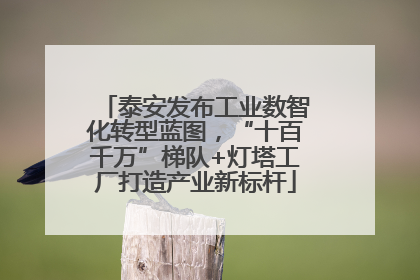 泰安发布工业数智化转型蓝图，“十百千万”梯队+灯塔工厂打造产业新标杆